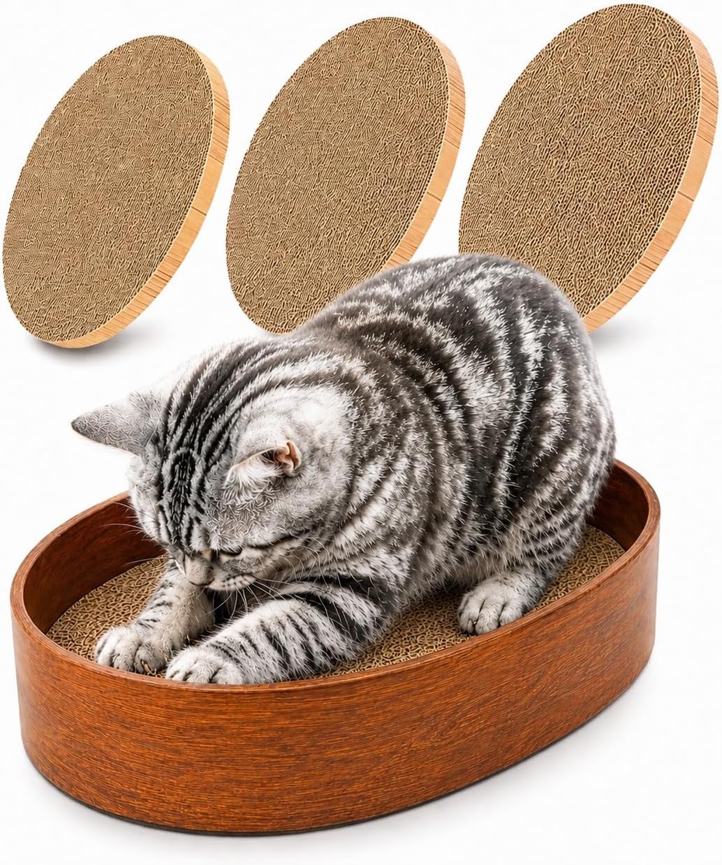 Katzen-Kratzbrett